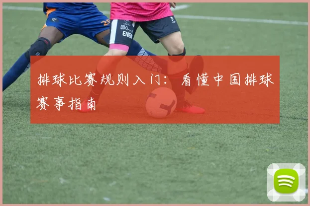 排球比赛规则入门：看懂中国排球赛事指南
